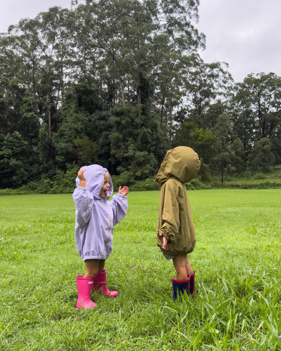 KAZE WINDBREAKER - LILAC