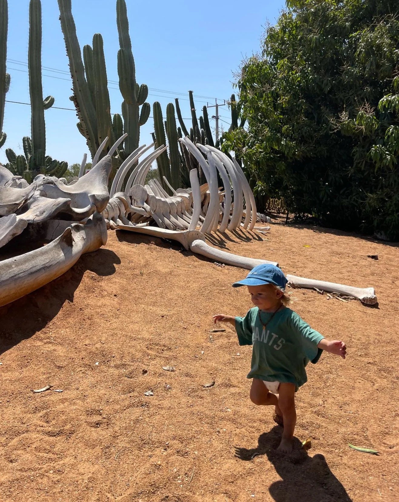 PLANTS TEE - KALE GREEN