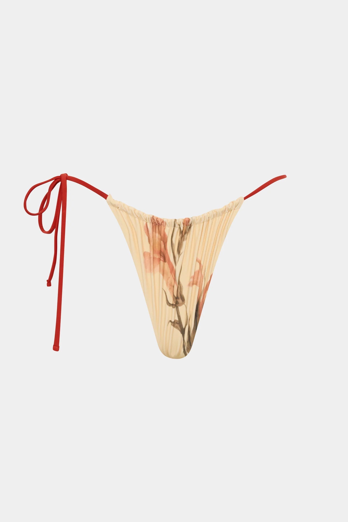 HANA STRING BRIEF - GLADIOLI PRINT