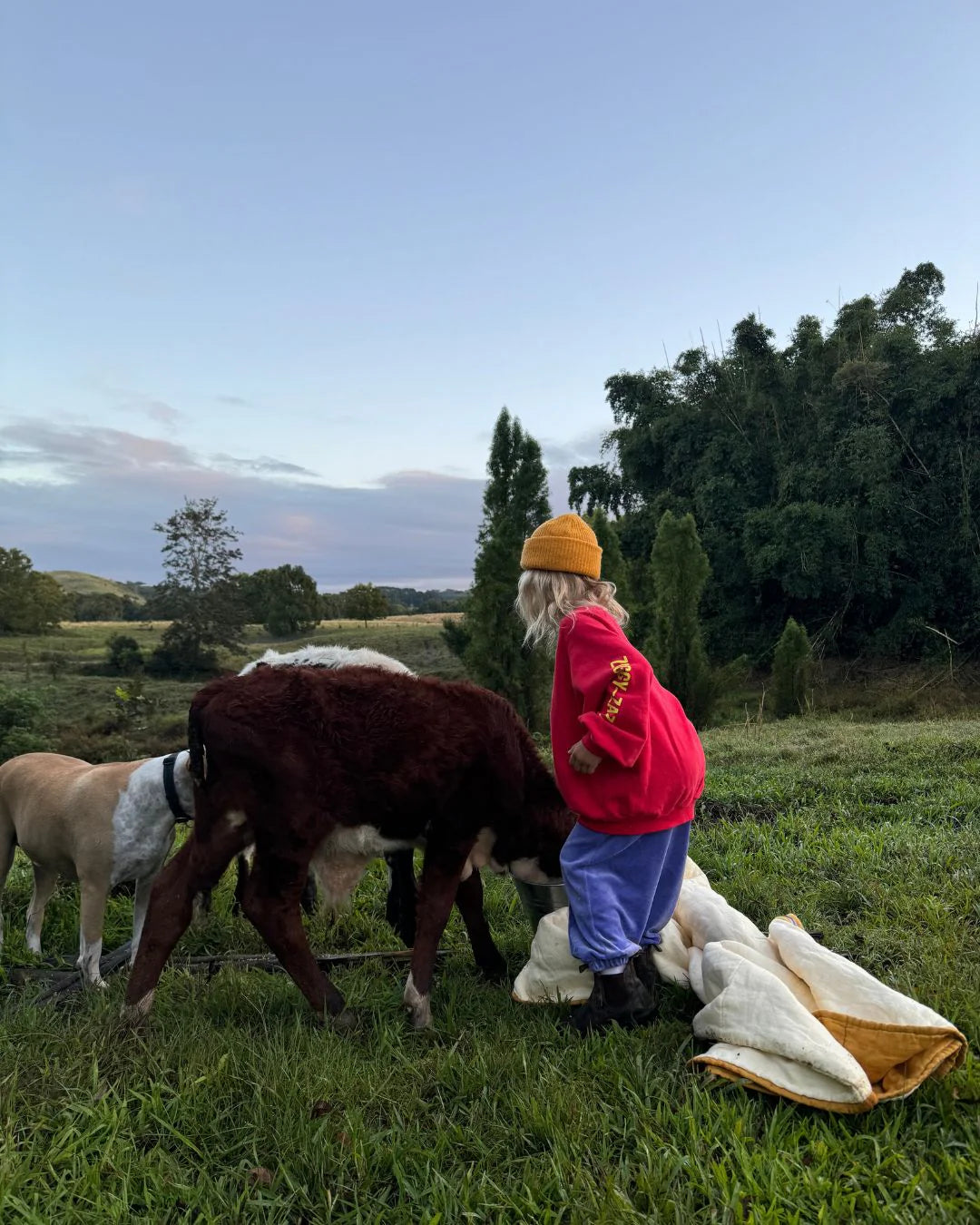 ARTIST PULLOVER - RACER RED / YELLOW