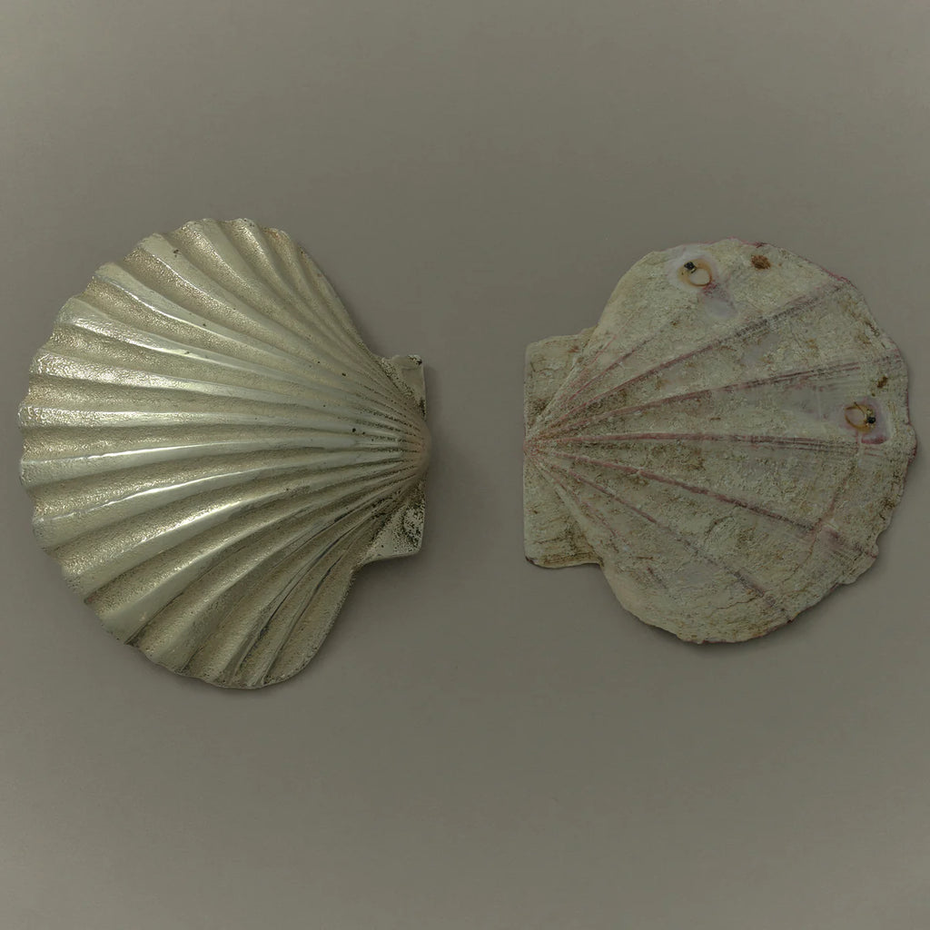 SCALLOP HOLDER - SILVER