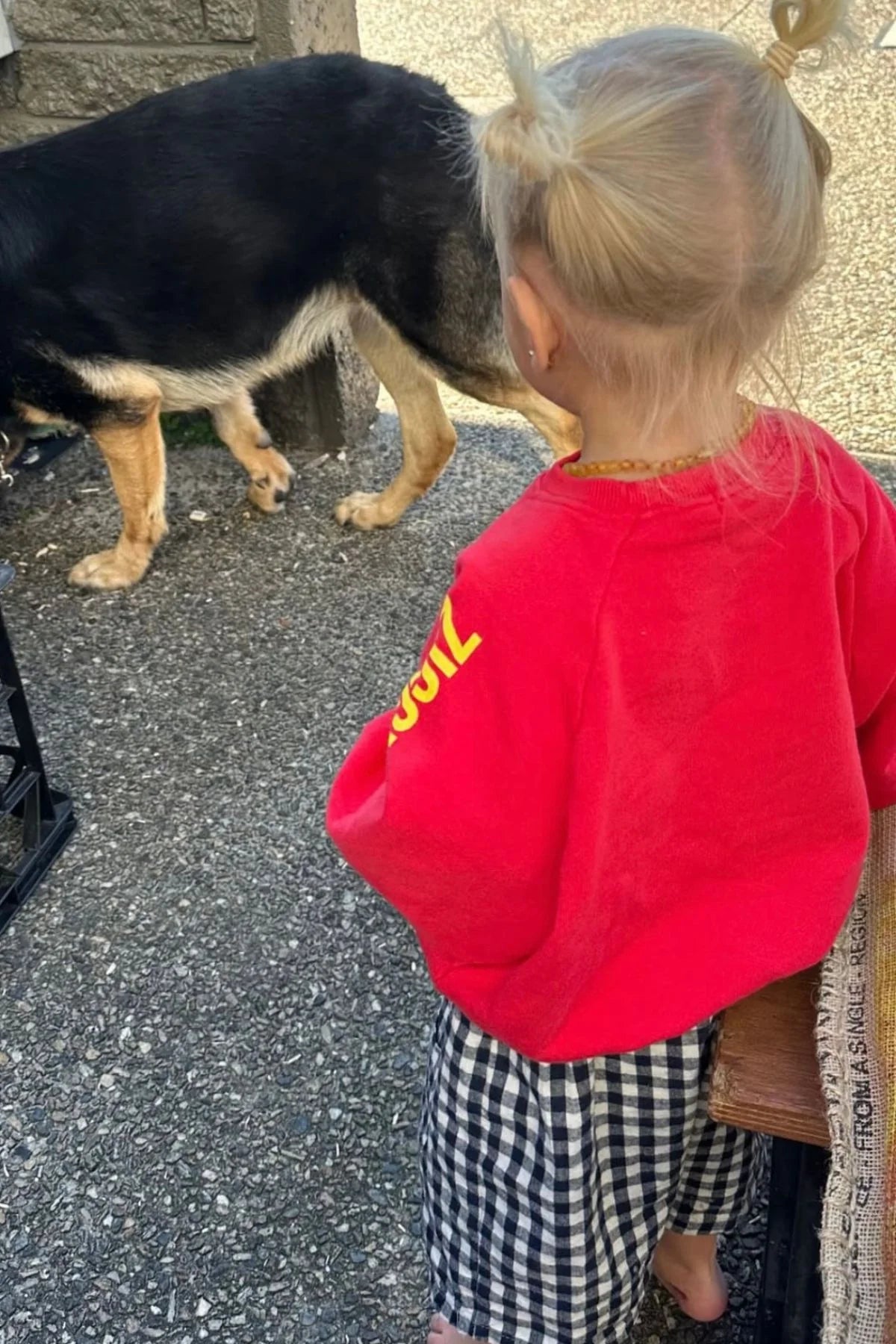 ARTIST PULLOVER - RACER RED / YELLOW