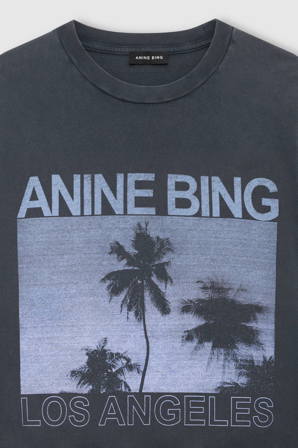 CADE TEE PALMS - WASHED GREY