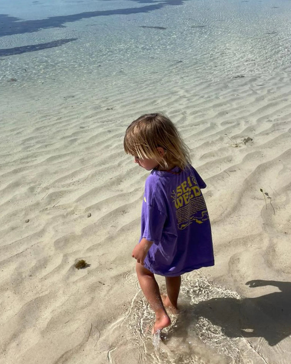 SEAWEED TEE - VIOLET