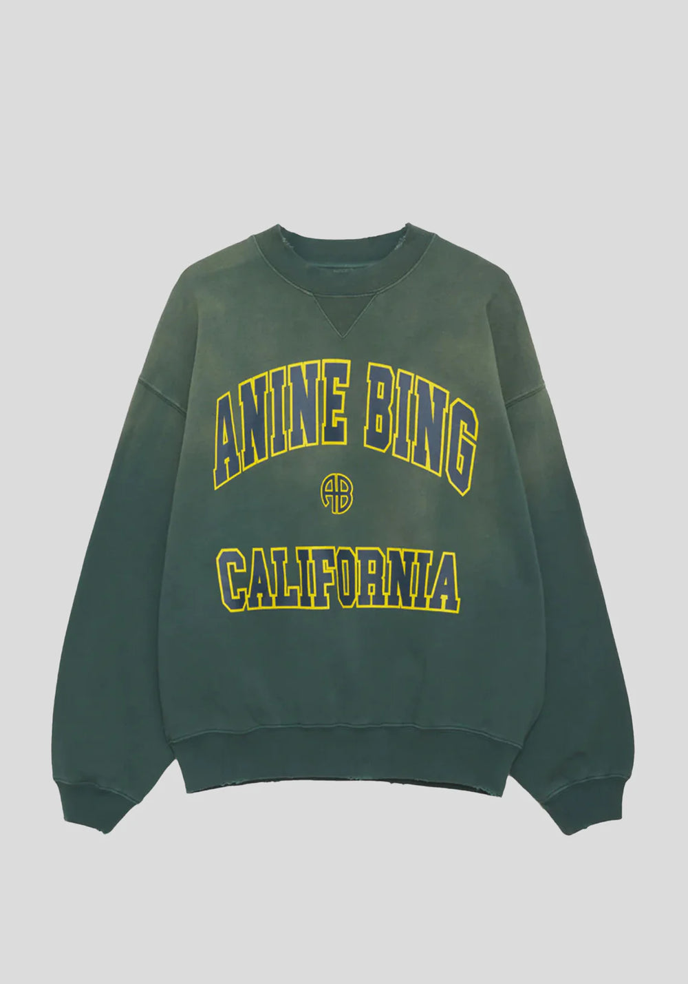 Anine Bing Tiger Sweatshirt in Stone – Deluxe Lorne